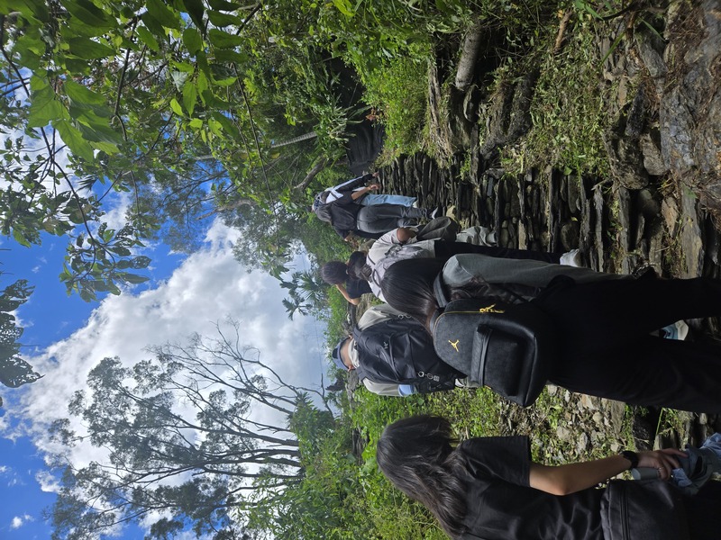 🏔️ 護理硬實力！護理系×霧台跨文化健康照顧服務學習成果超亮眼 ✨圖片