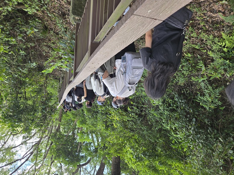 🏔️ 護理硬實力！護理系×霧台跨文化健康照顧服務學習成果超亮眼 ✨圖片